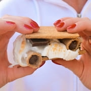 (4 pack) Muddy Bites Milk Chocolate