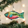 thumbnail image 2 of Old World Christmas Parrotfish Hanging Ornament, 2.25-inch Height, Holiday Decoration, 2 of 6