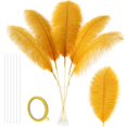 thumbnail image 1 of Kit de plumas de avestruz Soarer Gold, 10 unidades, 86 cm, tamaño grande, 1 of 6