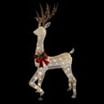 thumbnail image 3 of Northlight 60" LED Lighted Glitter Reindeer with Red Bow Outdoor Christmas Decoration, 3 of 8