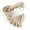 off white, variant on 5pcs Kitchen Tools Measuring Spoons cups Set colorful handle Teaspoon Coffee Sugar Scoop Cake Baking Cooking Gadgets