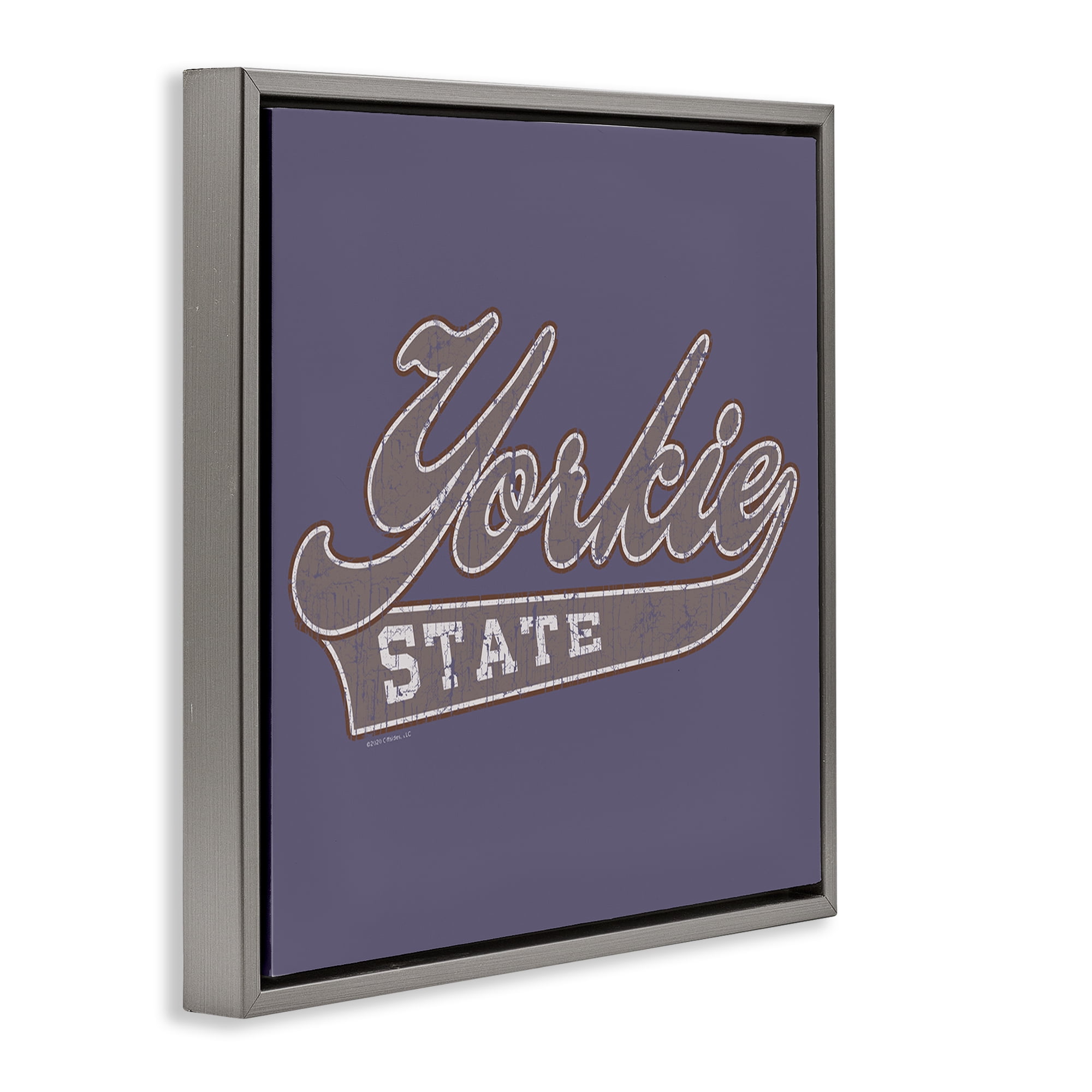 Stupell Industries Vintage College Yorkie State Novelty & Humor Painting Gray Floater Framed Canvas Art Print Wall Art, 25 x 25