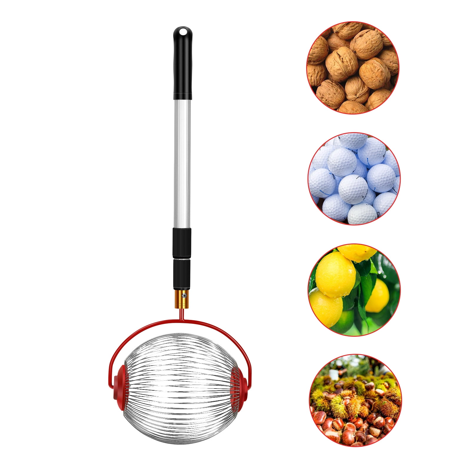 Nut Harvester Acorn Picker Upper With Pour Spout Adjustable Hickory