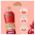thumbnail image 3 of Agua saborizada Bonafont Aguas Frescas jamaica 1.4 l, 3 of 4