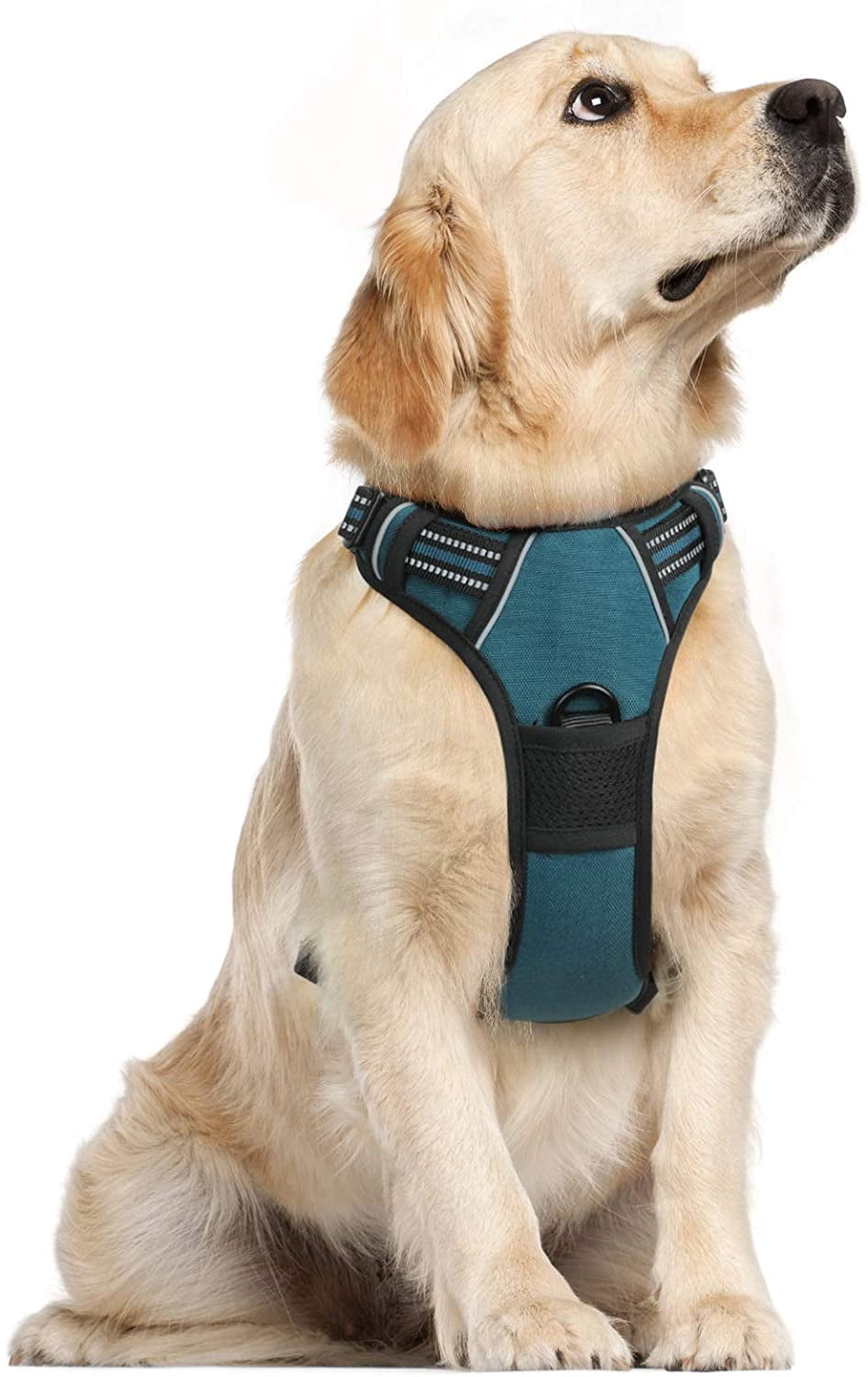 k9 off leash collar