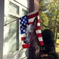 thumbnail image 2 of Carolines Treasures CK6614CHF Mexican Hairless Dog American Canvas House Size Outdoor-Flags, Multicolor, 2 of 4