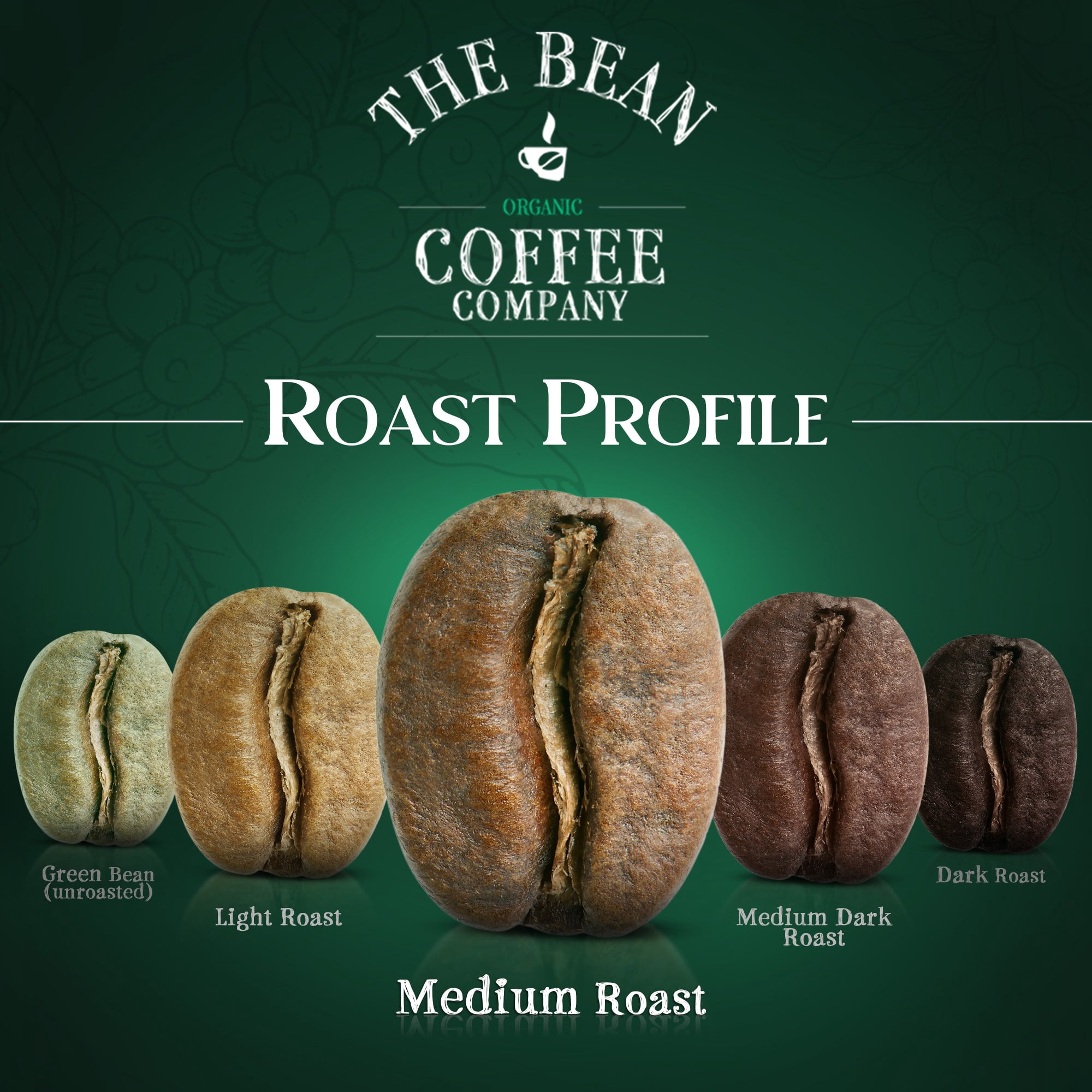 The Bean Organic Coffee Company Vienna Roast, Medium Roast, Ground Coffee, 16-Ounce Bags (Pack of 2)
