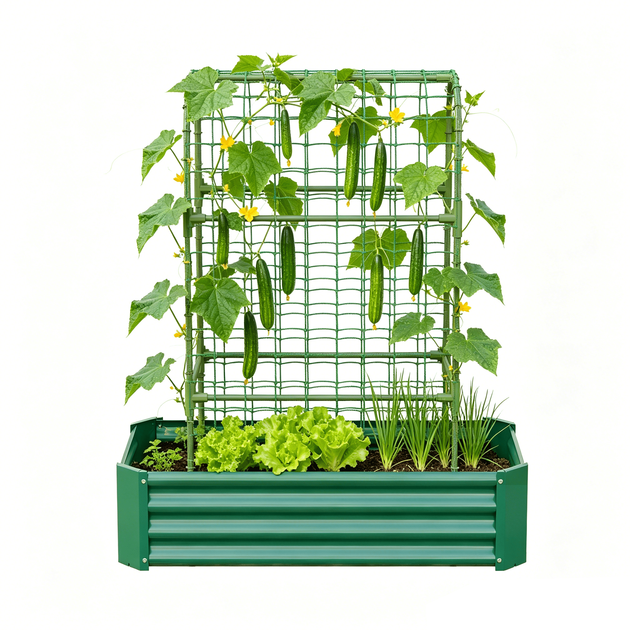 2-in-1 Galvanized Metal Raised Garden Bed with 59" Arch Trellis, 4×2×1 FT Outdoor Planter Box with Climbing Net for Vegetables Fruits Flowers