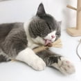 thumbnail image 4 of 3 Pcs Raffia Pet Cats Chew Sticks, for Cats Remove Tartar,Freshen Their Breath,Increase Appetite,Calm Cat Anxiety and Stress,Cat Dental Toy, 4 of 9
