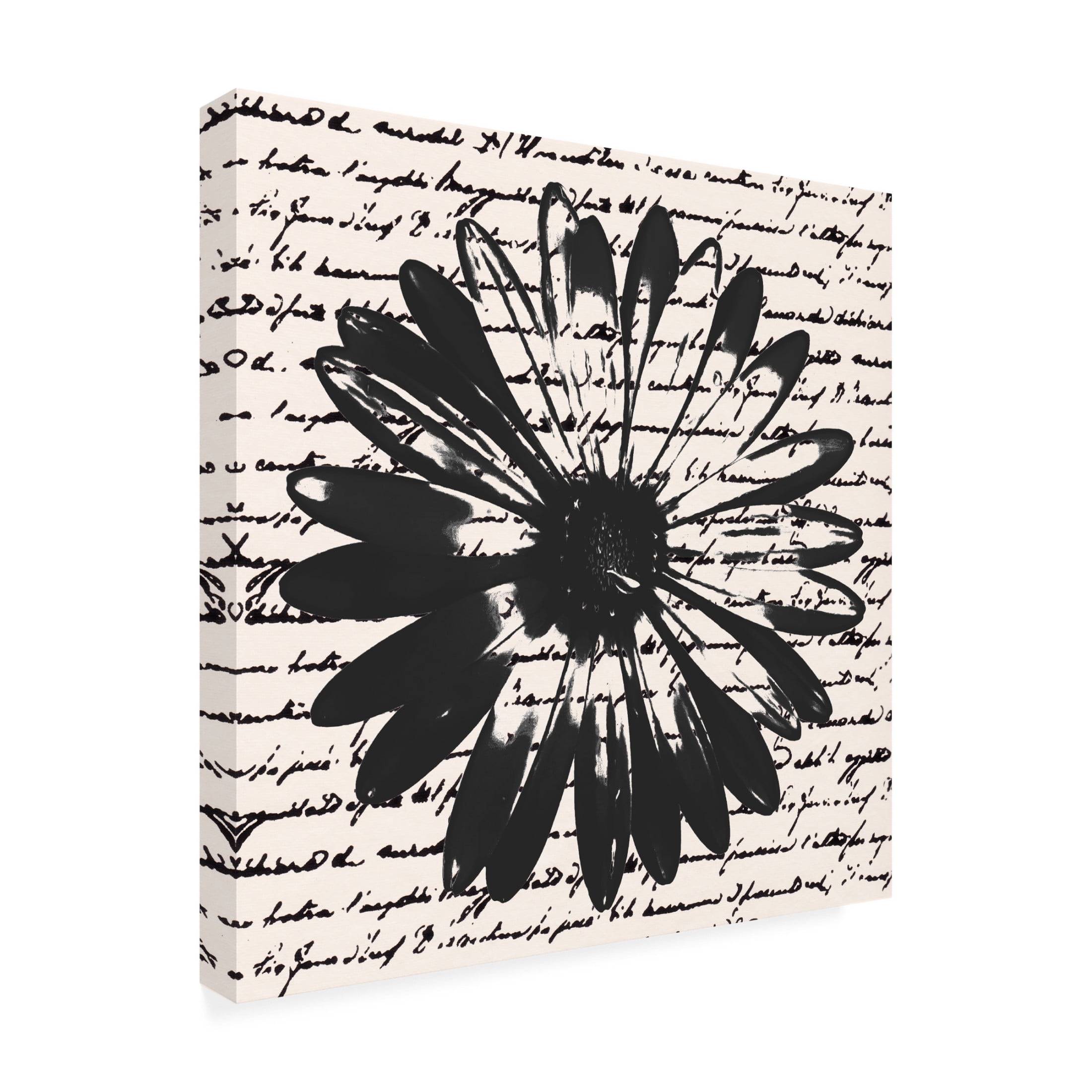 Trademark Fine Art Alonzo Saunders  Inky Floral II Canvas Wall Art