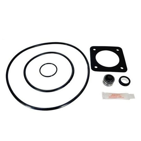Aladdin GO-KIT54 Pump Repair Kit for Sta Rite Duraglass, Maxiglass, P2R, P2RA