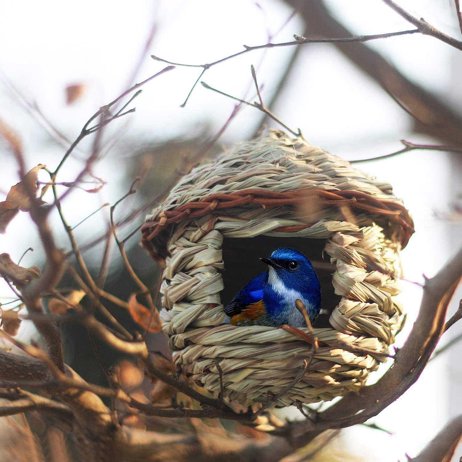Grass Bird Hut Cozy resting place for Small Bird Roosting Pocket/Birdhouse 