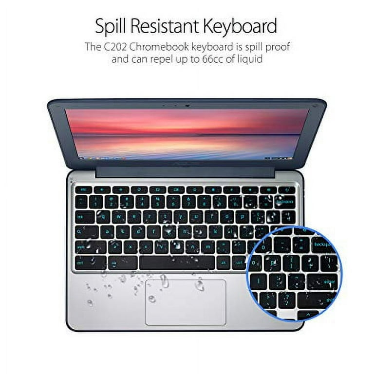 ASUS 11.6