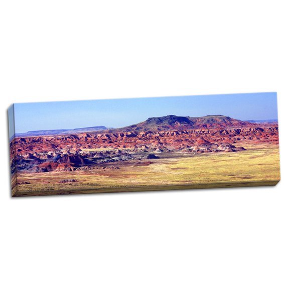Gango Home Decor Painted Desert View by Douglas Taylor (Ready to Hang); One 36x12in Hand-Stretched Canvas