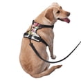 thumbnail image 3 of Lsque Bird and Floral Dog Harness, No-Pull Pet Harness with 2 Leash Clips, Adjustable Soft Padded Dog Vest with Easy Control Handle for Large Dogs-Medium, 3 of 9