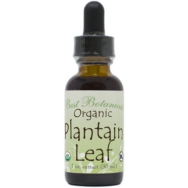 Best Botanicals Organic Plantain Leaf Extract 1 oz.