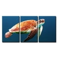 thumbnail image 2 of wall26 - 3 Piece Canvas Wall Art - Sea Turtle Swiming Under The Ocean - Modern Home Art Stretched and Framed Ready to Hang - 24"x36"x3 Panels, 2 of 4