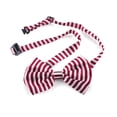 thumbnail image 5 of GOGO Christmas Festival Pet Bow Tie Collar, Dog Grooming Accessories, 10 Pcs Assorted-Set 2, 5 of 8