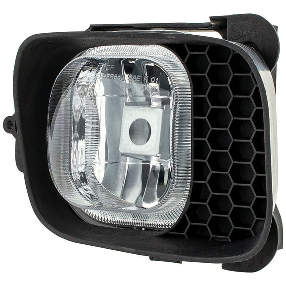 Dorman 1631268 Passenger Side Fog Light Assembly for Specific Ford Models, Clear