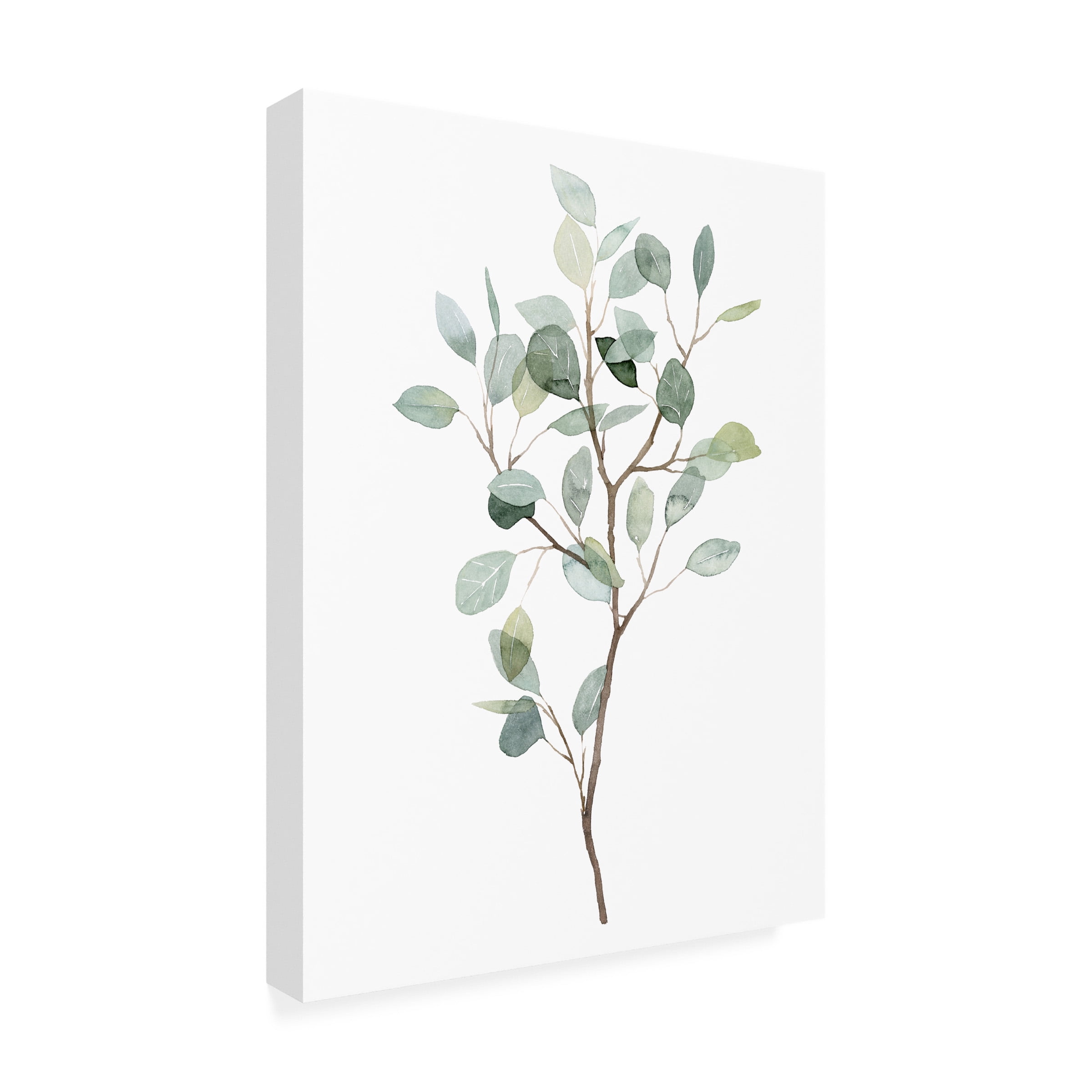 Grace Popp 'Seaglass Eucalyptus I' Canvas Art