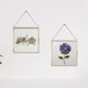 thumbnail image 5 of Marcos de Vidrio para Flores Prensadas y Obras de Arte Yuxing Metal Cuadrados Dorado Transparente 16 x 16 cm, 5 of 5