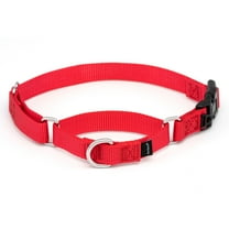 PetSafe Martingale Collar with Quick Snap Buckle