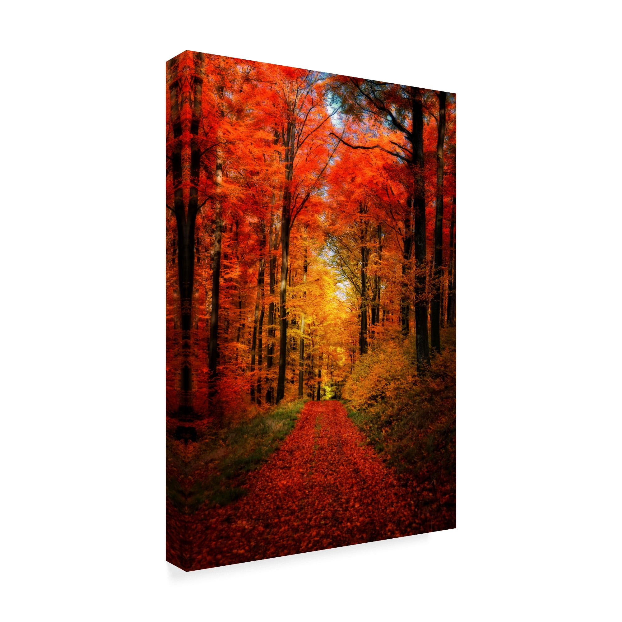 Trademark Fine Art 'Forest Garden' Canvas Art by Philippe Sainte-Laudy