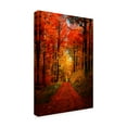 thumbnail image 2 of Trademark Fine Art 'Forest Garden' Canvas Art by Philippe Sainte-Laudy, 2 of 4