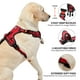thumbnail image 4 of Arnés para perros NESTROAD, chaleco Oxford ajustable sin tirones, rojo XL, 4 of 8
