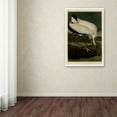thumbnail image 3 of Trademark Fine Art 'Wood Ibissplate 216' Canvas Art by Audubon, 3 of 3