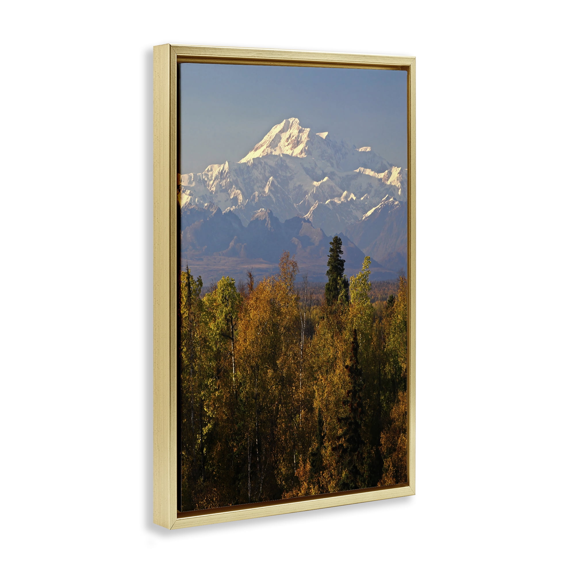 Stupell Industries Danali Autumn Landscape Landscape & Nature Photography Gold Floater Framed Canvas Art Print Wall Art, 21 x 31