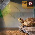 thumbnail image 5 of Terrarium Oasis, Performance Fiable Longue Durée de Vie, Support d'Absorption du Calcium, Design en Verre de Haute Qualité, Promotion de la Synthèse de Vitamine D3, Prise E27 Facile à Utiliser, Full, 5 of 5
