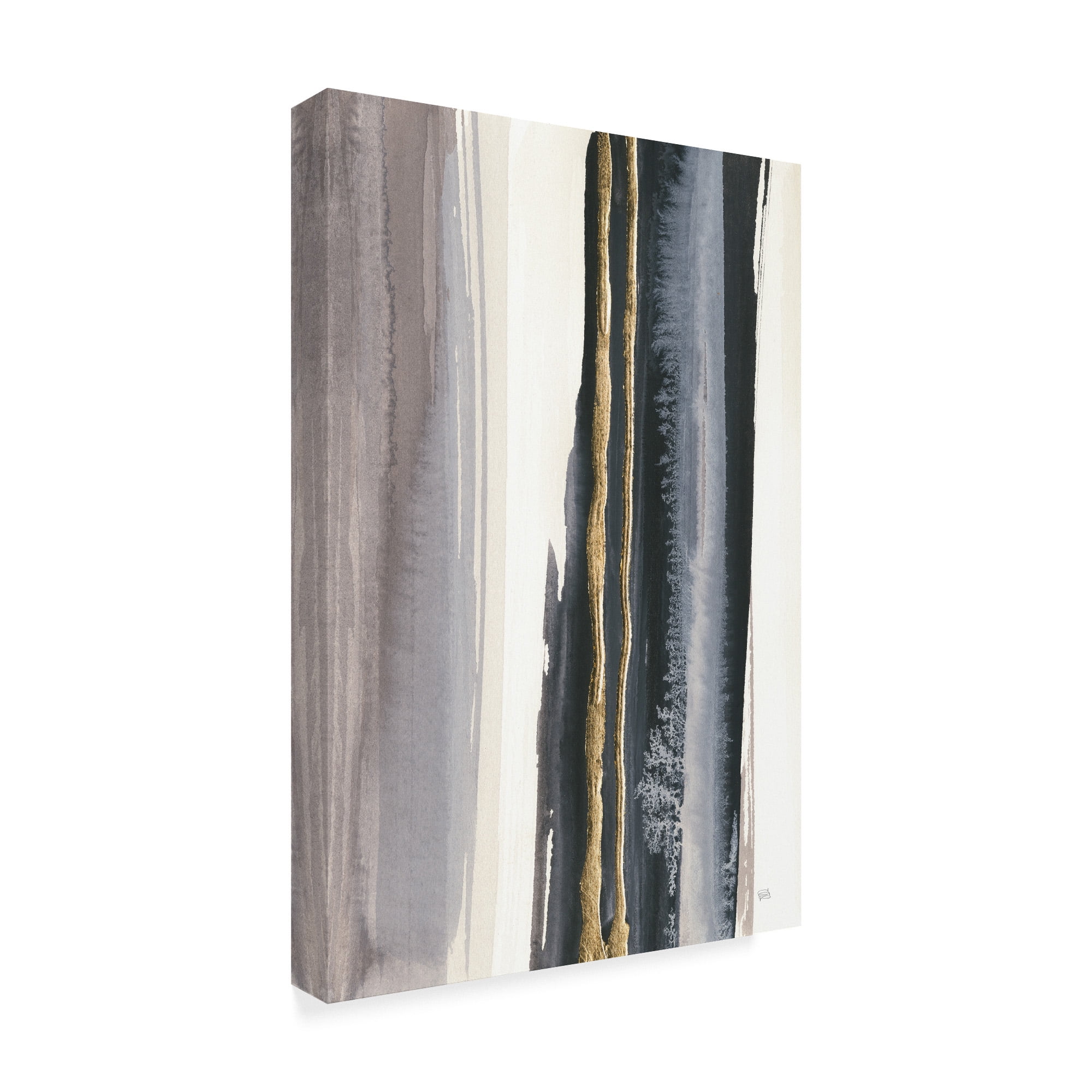 Trademark Fine Art 'Gilded Grey IV Crop I' Canvas Art by Chris Paschke