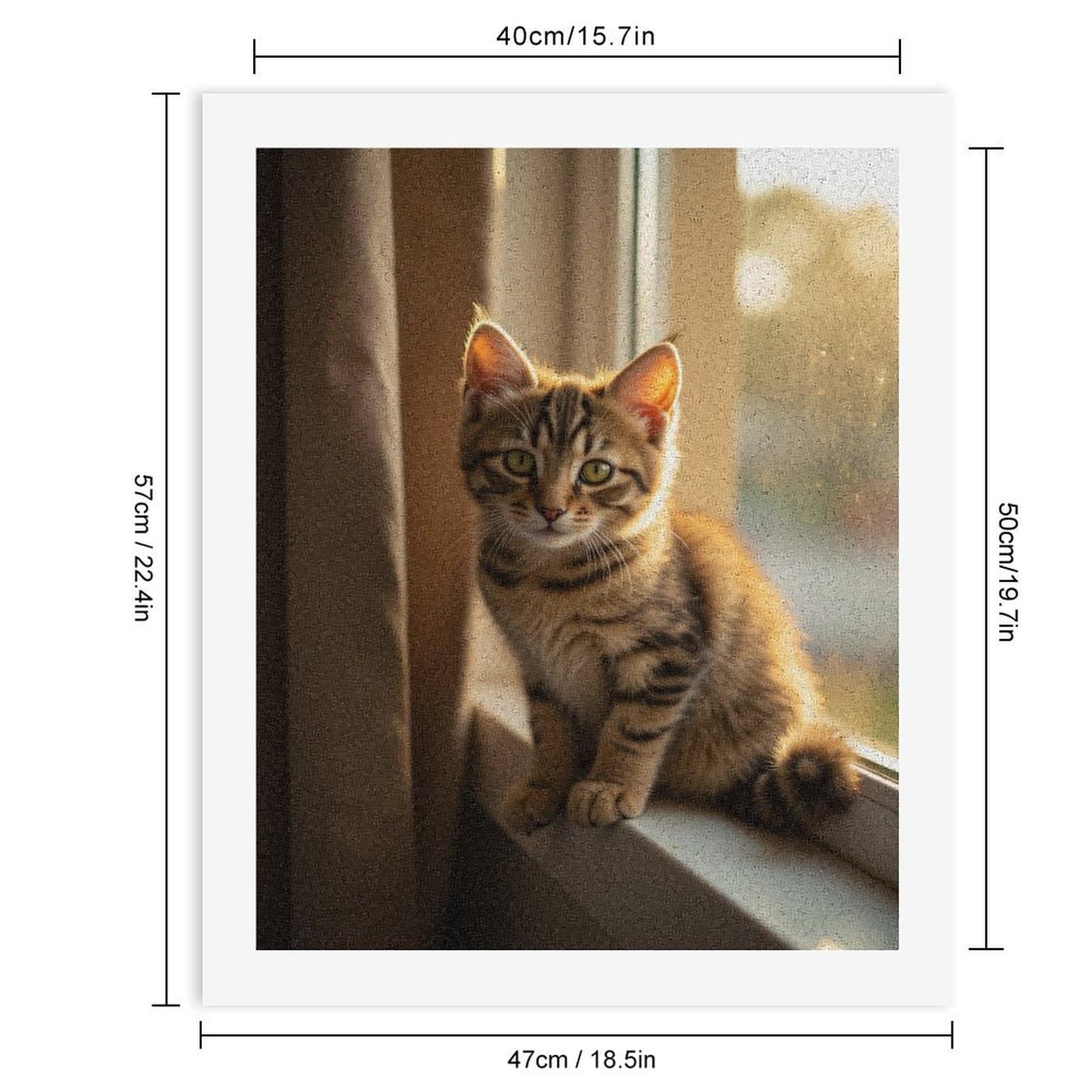 Paint By Numbers Kit for Adults Beginner - DIY Cat Sunlit Window Tabby Adorable Canvas Painting Kits for Adults, Frameless Paint By Number for Adults for Home Wall Decor 16x20 Inch
