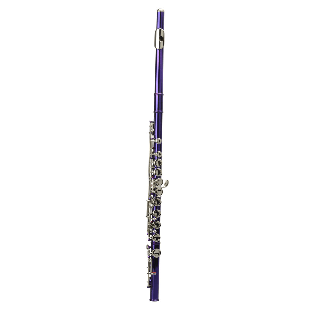 Tcbosik C Flute Closed Hole 16 Keys for Beginners with Case, Cloth, Screwdriver, Lubricant and Cleaning Rod, Purple