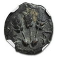 thumbnail image 3 of Ancient Judaea AE Prutah Agrippa I (37-44 AD) Fine NGC, 3 of 3