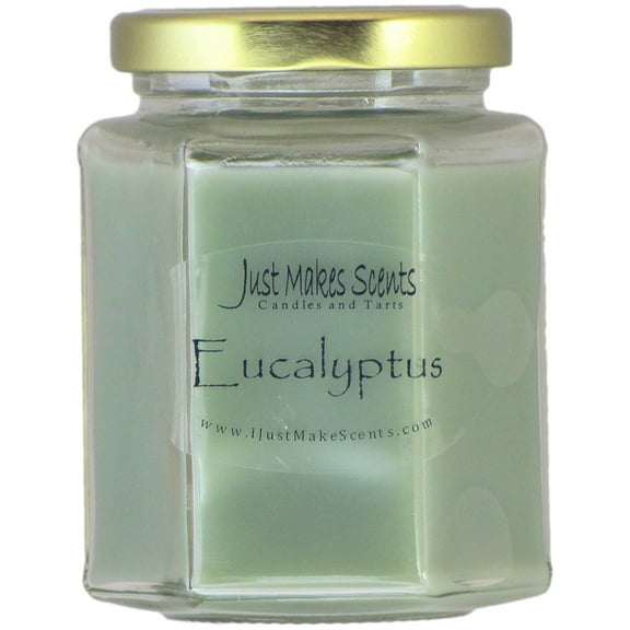 Eucalyptus Soy Candle -Just Makes Scents
