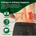 thumbnail image 2 of HALLUSA NATURAL Chanca Piedra Capsules 1000 mg - Stone Breaker, Kidney Cleanse, Urinary Tract Support & Gallbladder Supplement, Fhyllantus Nirury - 60 Count - Dietary Supplements, 2 of 9
