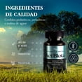 thumbnail image 4 of Probióticos Prebioticos 7 Cepas Inulina De Agave Kaizen Life, 4 of 8