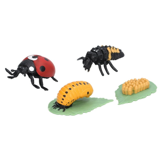 Life Cycle Figurines Lifelike Vinyl Ladybug Life Cycle Model Set