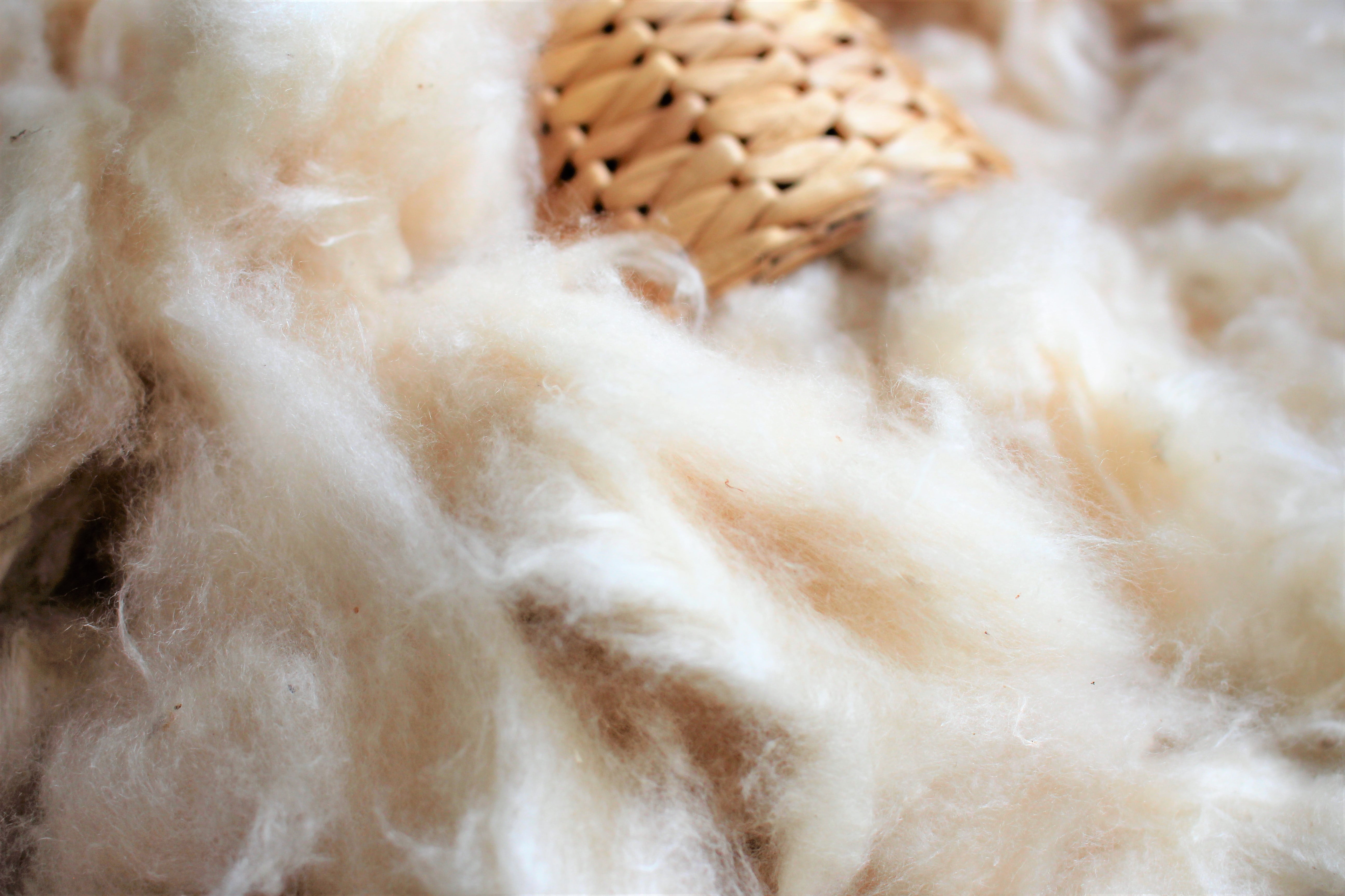 Wholesale Natural Kapok Fill for Pillows, Crafts, Cushions (10 lb)