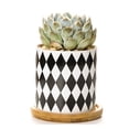 thumbnail image 1 of Plant Pot Cylindrical Flowerpot 7.5x7.6cm Geometric Pattern Simple Black White Nordic Style Home Decor Ceramic Vase, 1 of 2
