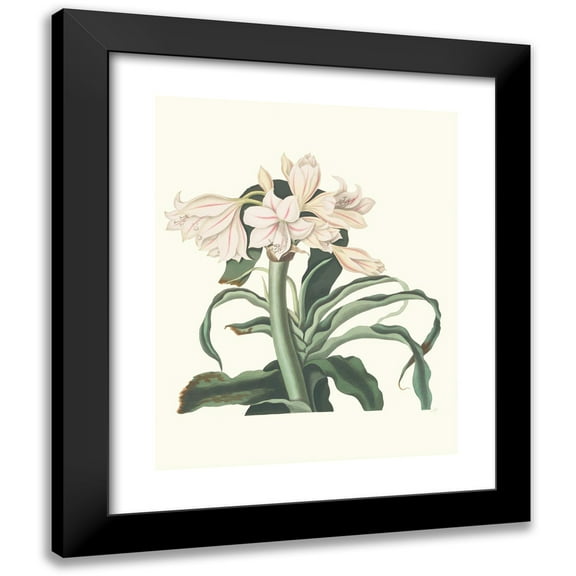 Priscilla Susan Bury 12x14 Black Modern Framed Museum Art Print Titled - Crins Rough (1834)