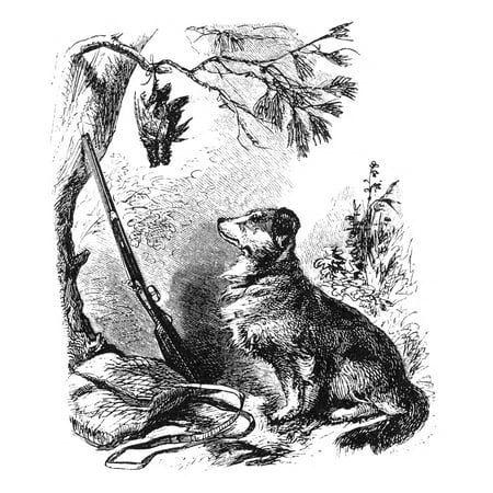 Hunting Dog 19Th Century Na Hunting Dog With A Rifle And A Dead Bird Engraving 19Th Century Poster Print by Granger