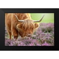 thumbnail image 2 of Parker, Jacky 14x11 Black Modern Framed Museum Art Print Titled - Highland In Heather, 2 of 5