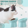 thumbnail image 3 of Zhehao 2 Pieces Plastic Raised Bowl Tilted 15 Degrees Elevated Cat Food and Water Bowls Set Anti Vomit Dog Kitten Food Dishes Pet for Cats and Small Dogs (Light Green), 3 of 11