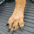 thumbnail image 3 of PetSTEP Non-Slip Rubberized Plastic Original Folding Pet Ramp, Graphite/Gray, 3 of 4