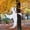 Cute, variant on Joyfy Halloween Tree Wrap Ghost Decoration, Cute Ghost Design Decorations for Halloween Outdoor, Lawn, Tree Decor, Ghost Party Supplies