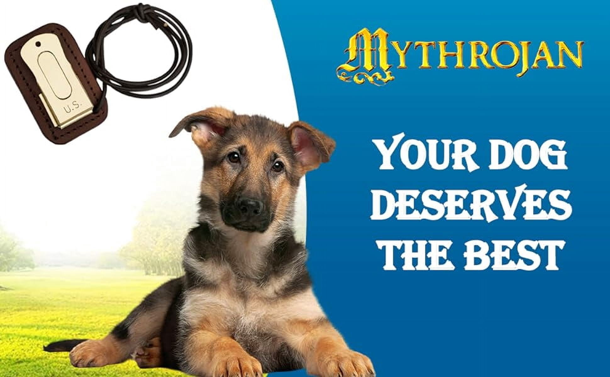 Stop Biting Clothes Kikopup Puppy Biting Kikopup's Guide To Puppy