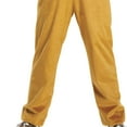 thumbnail image 2 of Combinaison à Capuche pour Enfant Pokemon Evee Costume Classique, 2 of 4